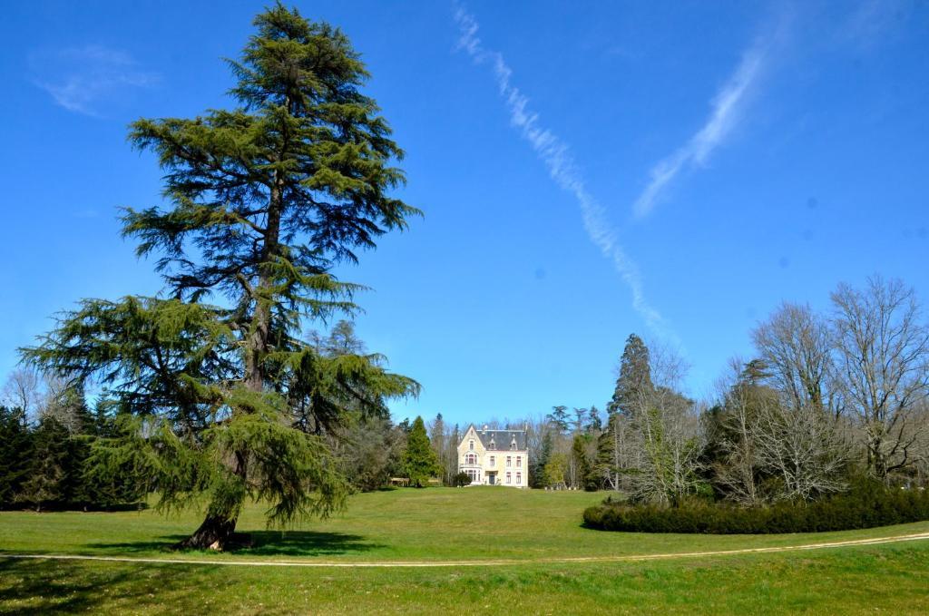 Chateau La Thuiliere Saint-Front-de-Pradoux Luaran gambar