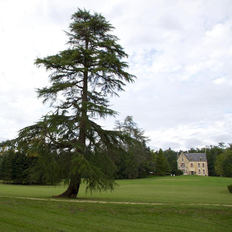 Chateau La Thuiliere Saint-Front-de-Pradoux Luaran gambar